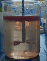 cleaning blood water fish factories