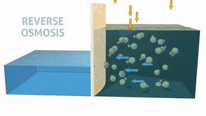 sewage reverse osmosis fish factories
